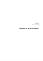 Serenade for String Sextet – Complete Parts