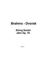 Brahms - Dvorak String Sextet after Op.78 – Parts